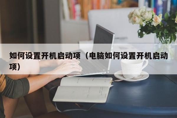 如何设置开机启动项(电脑如何设置开机启动项)