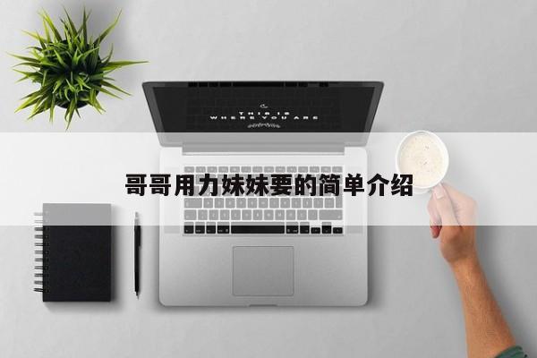 哥哥用力妹妹要的简单介绍