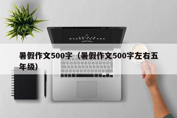 暑假作文500字(暑假作文500字左右五年级)