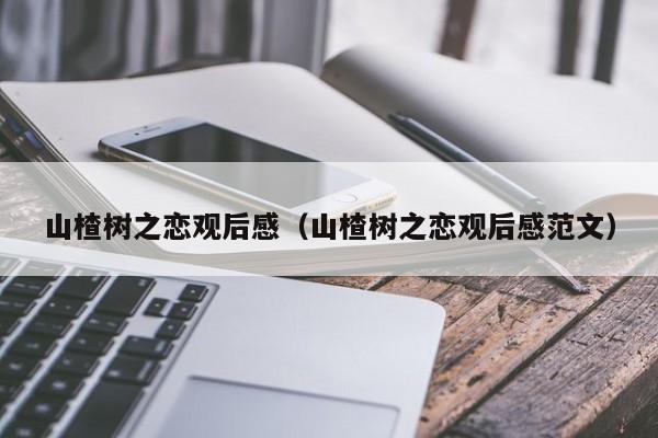 山楂树之恋观后感(山楂树之恋观后感范文)